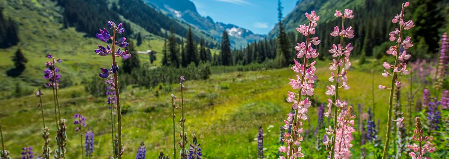 Erste Etappe auf der Runde durch die Verwallgruppe: zur Konstanzer Hütte