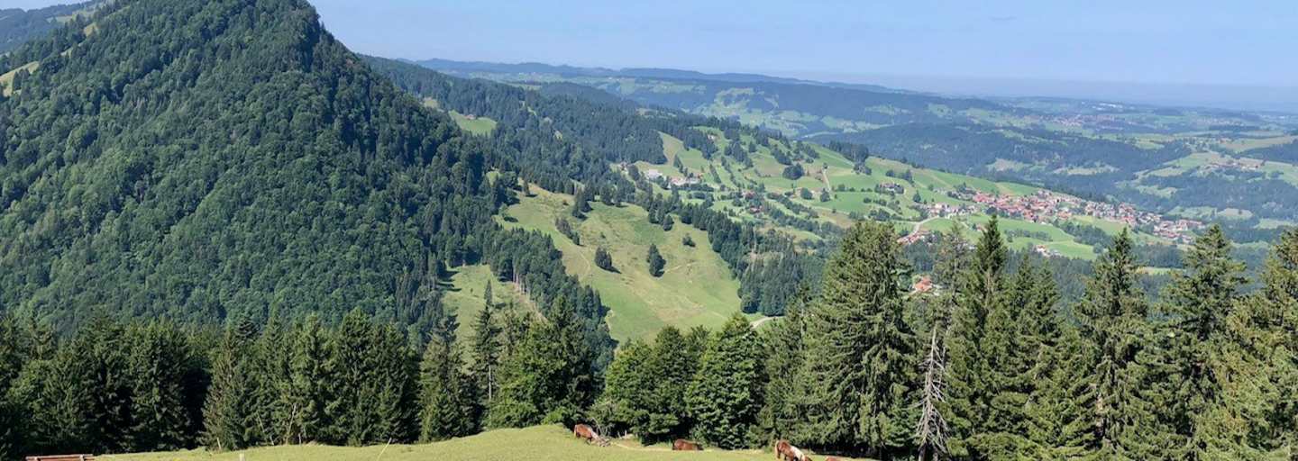 Blick auf Steibis vom Prodel