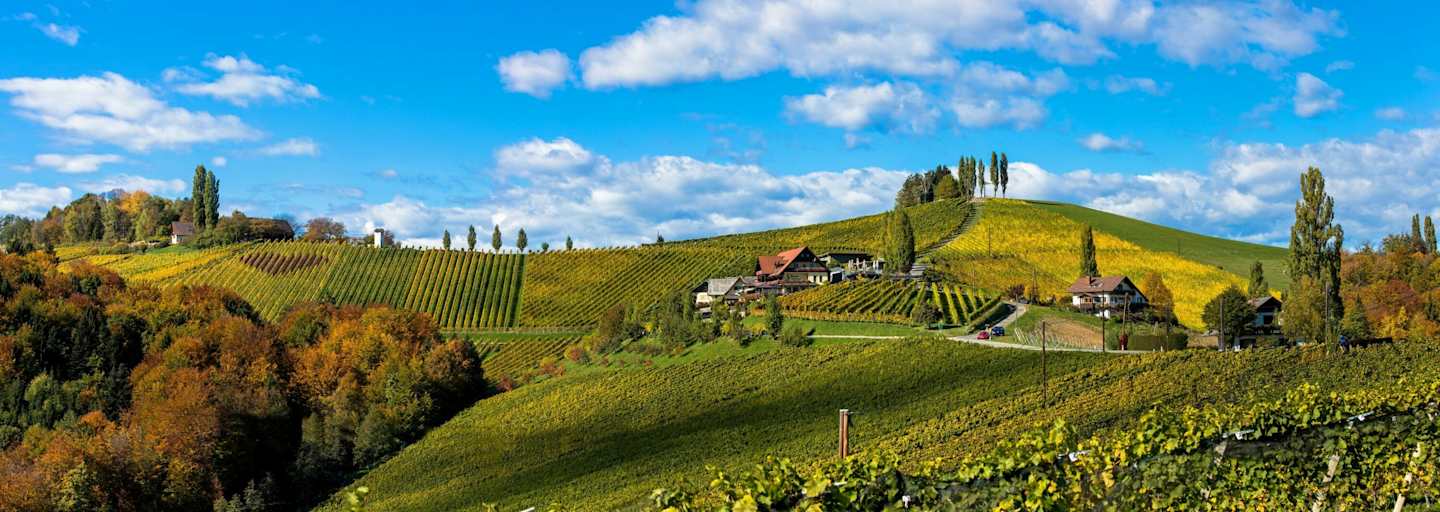 Wunderschöne Weinberge - Südsteirische Weinstraße
