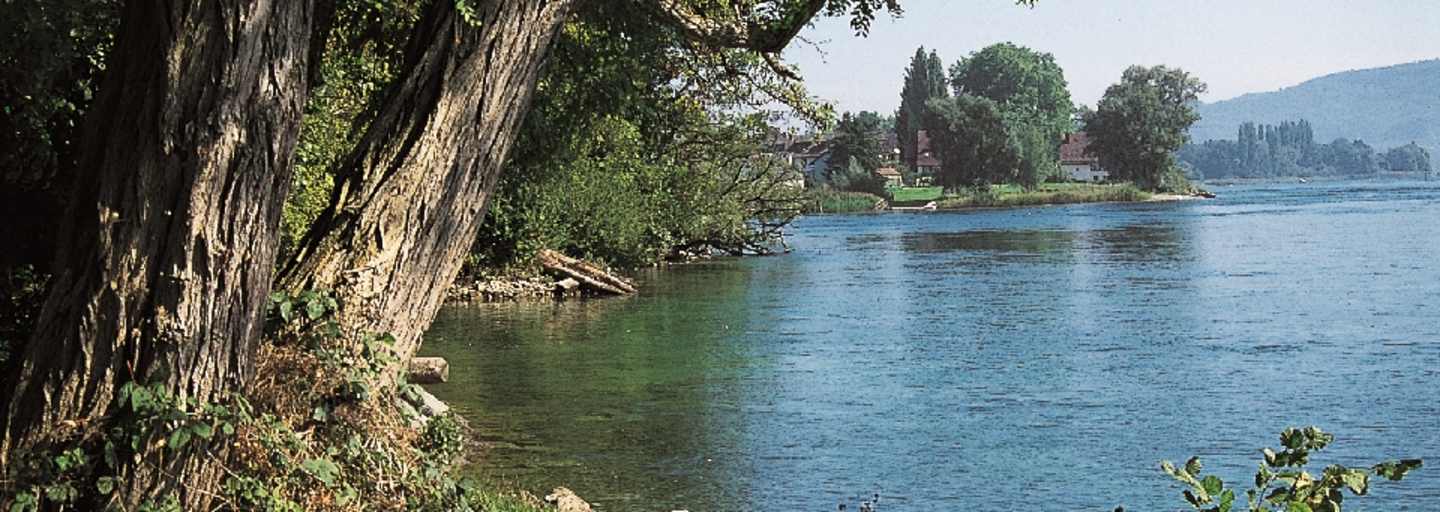 Bei Steigen verlässt der Hochrhein den Bodensee