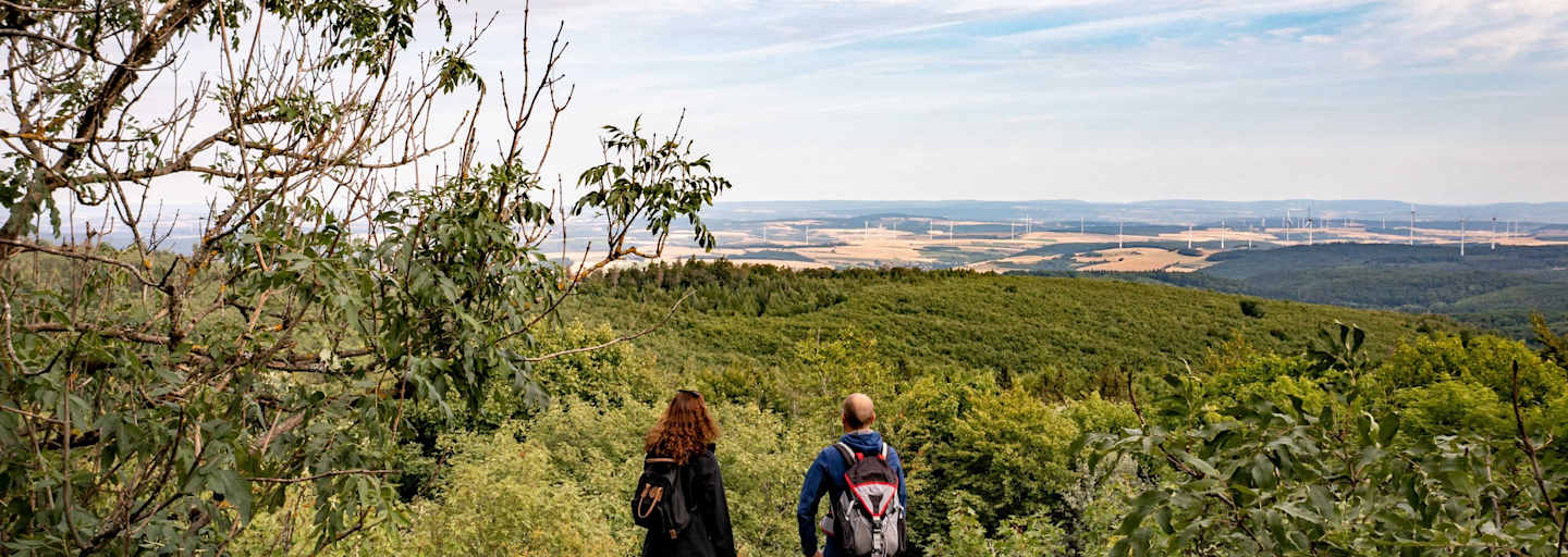 Aussicht Königsstuhl am Donnersbergmassiv