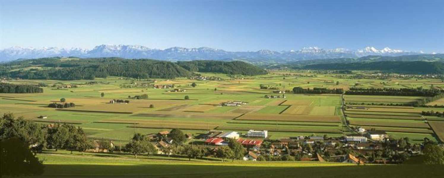 Blick vom Dorf Wauwil auf das Wauwilermoos