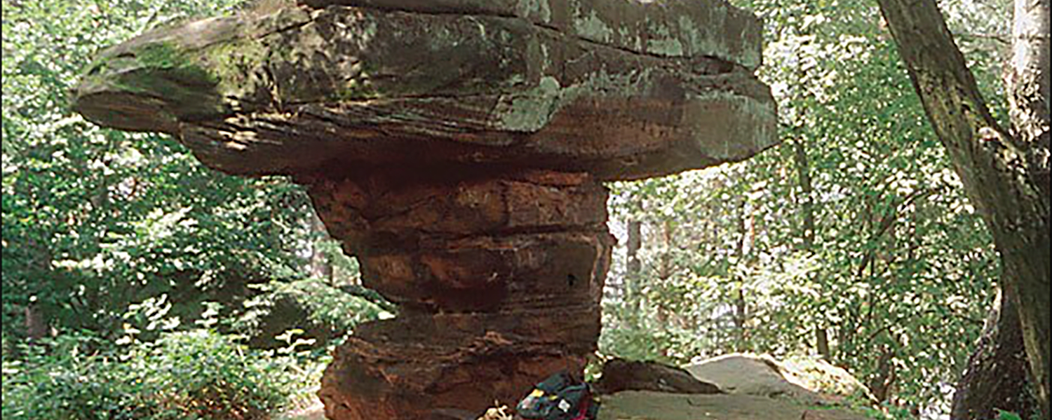 Der konditionell fordernde Wanderweg führt einen durch das Wunder Natur.
