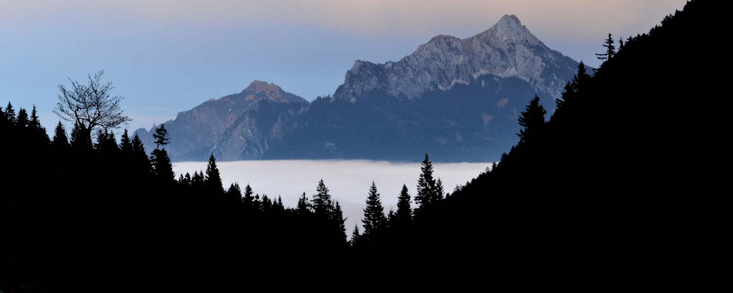 Blick in die Allgäuer Berge: Säuling