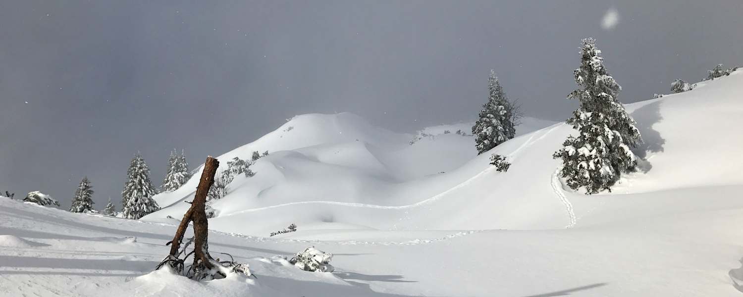 Winterlandschaft in Tirol: Tierspuren im Schnee