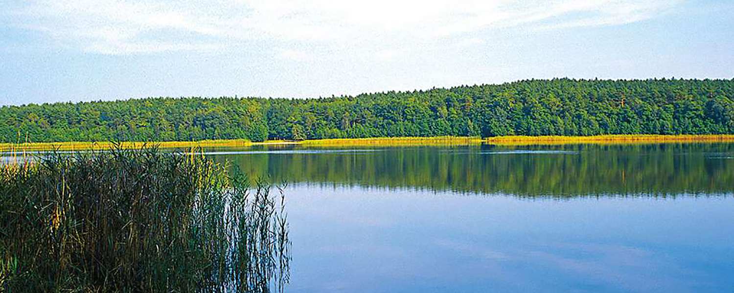 Eine aussichtsreiche Wald-Feldflurenwanderung.