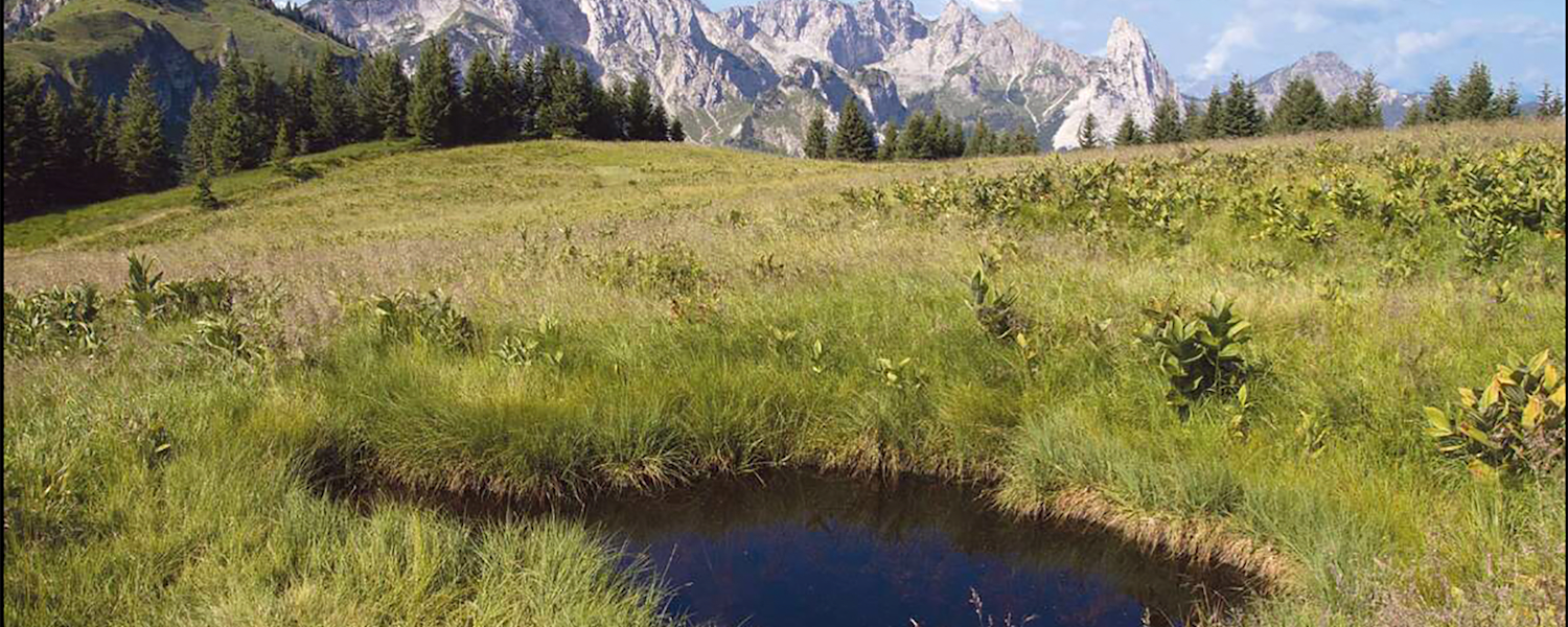 Die relative Ruhe und natürlich das prächtige Landschaftserlebnis machen diese schöne Tour besonders lohnend.