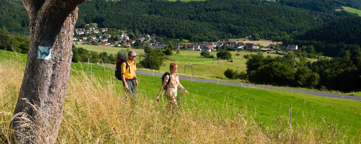 Unterwegs am WesterwaldSteig