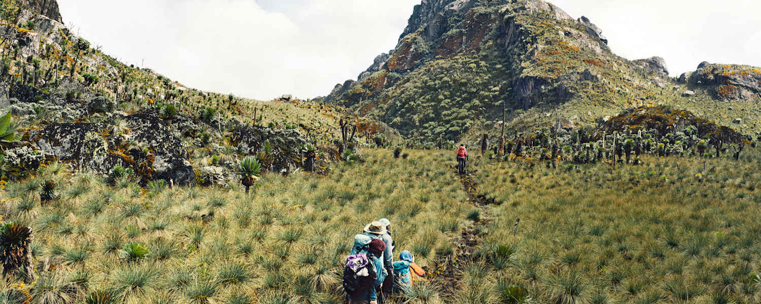 Auf dem Weg zum Gipfel des Regenmachers, dem Ruwenzori.