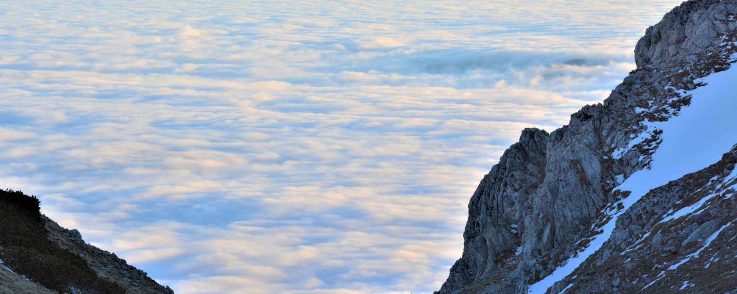 Auf dem Schneeberg: Eine Gams in der Scharte blickt auf ein gigantisches Nebelmeer