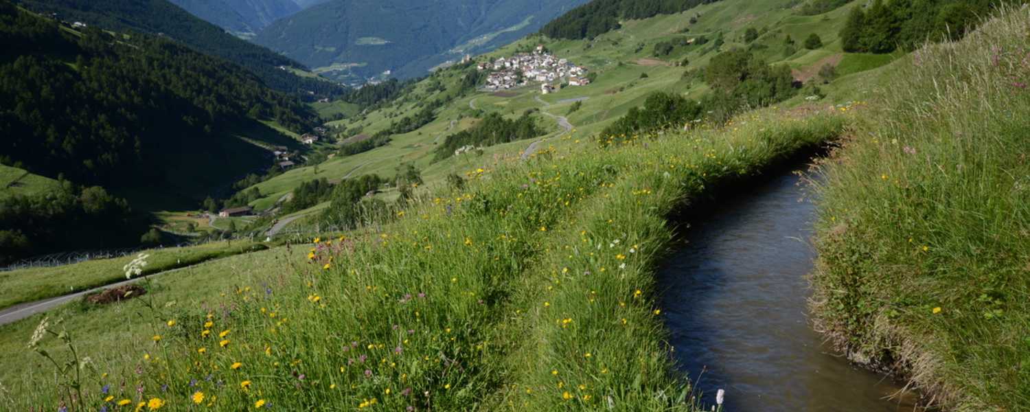 Matsch mit dem Ortler und Ackerwaal