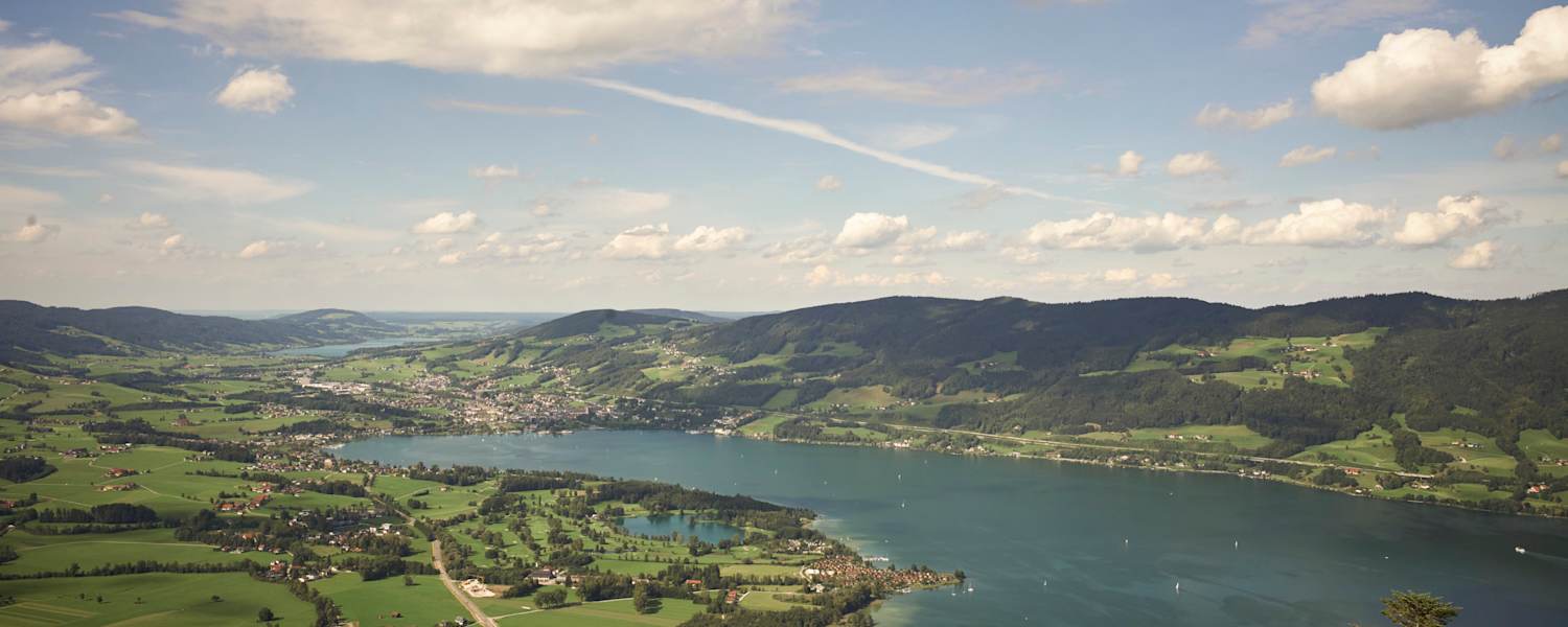 Blick auf den Mondsee