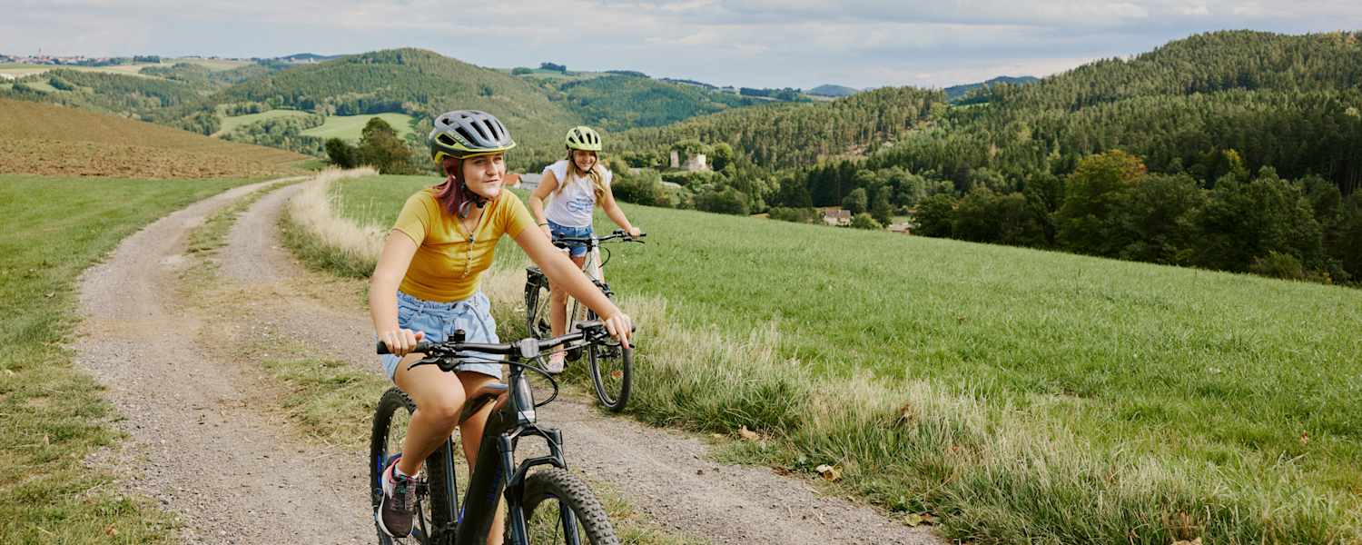 E-Bike Tour in der buckligen Welt - Wiener Neustadt