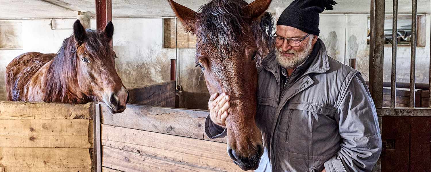 In den Wintermonaten genießen die Pferde im Stall die Zuwendung der Bergbauern.