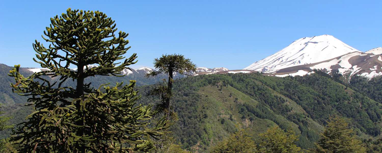 Reise Chile Skitouren