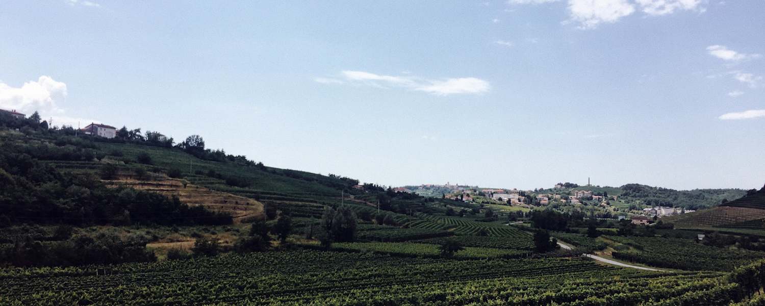 Ernst Merkinger Alpe Adria Trail