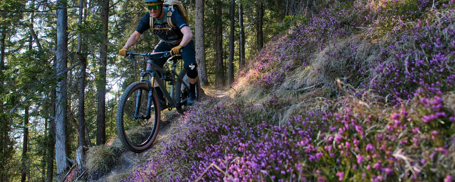 Mountainbiker im Wald