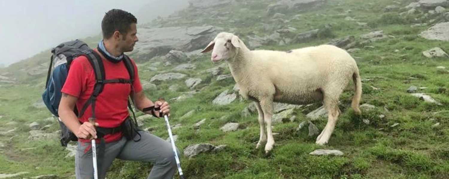 Wandertipp: Alexander Enzinger Weg