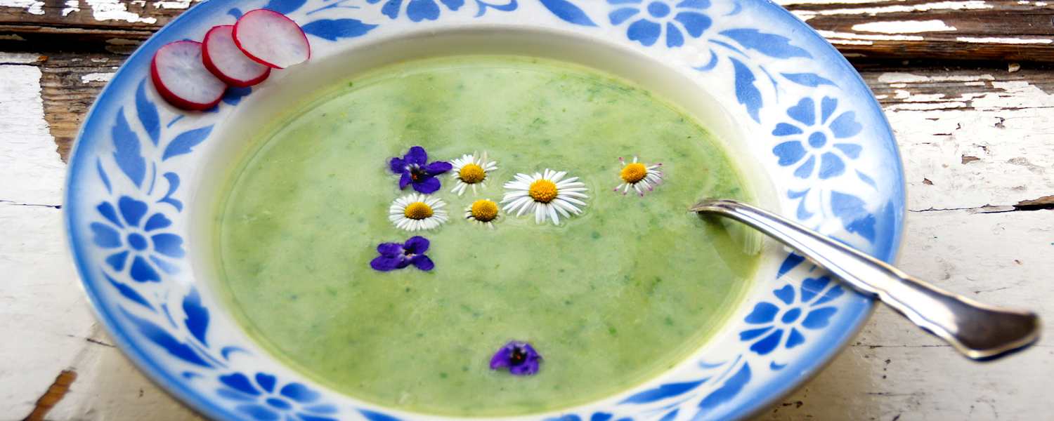 9-Kräuter-Suppe
