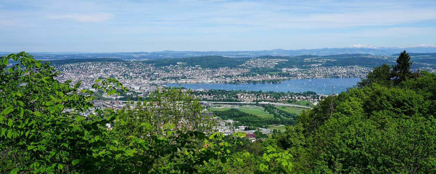 Blick vom Uetliberg auf Zürich und den Zürichsee