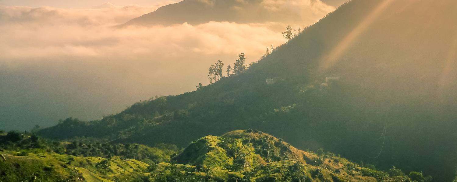 Jamaika Blue Mountains Wandern