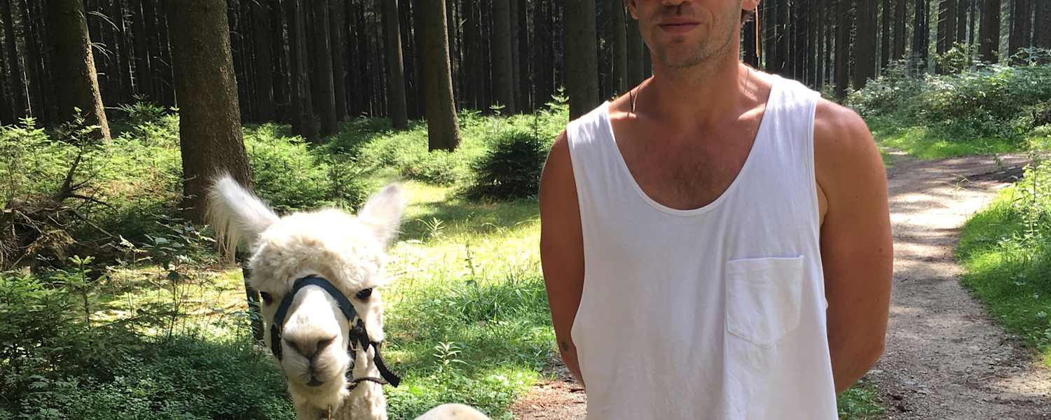 Alpaka Wandern