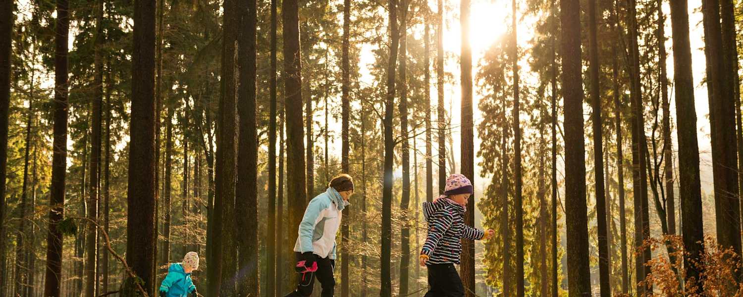 Winter Wandern am Altkönig im Taunus