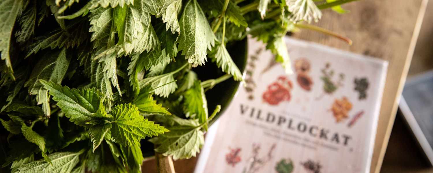 Camping Rezepte Brennnessel