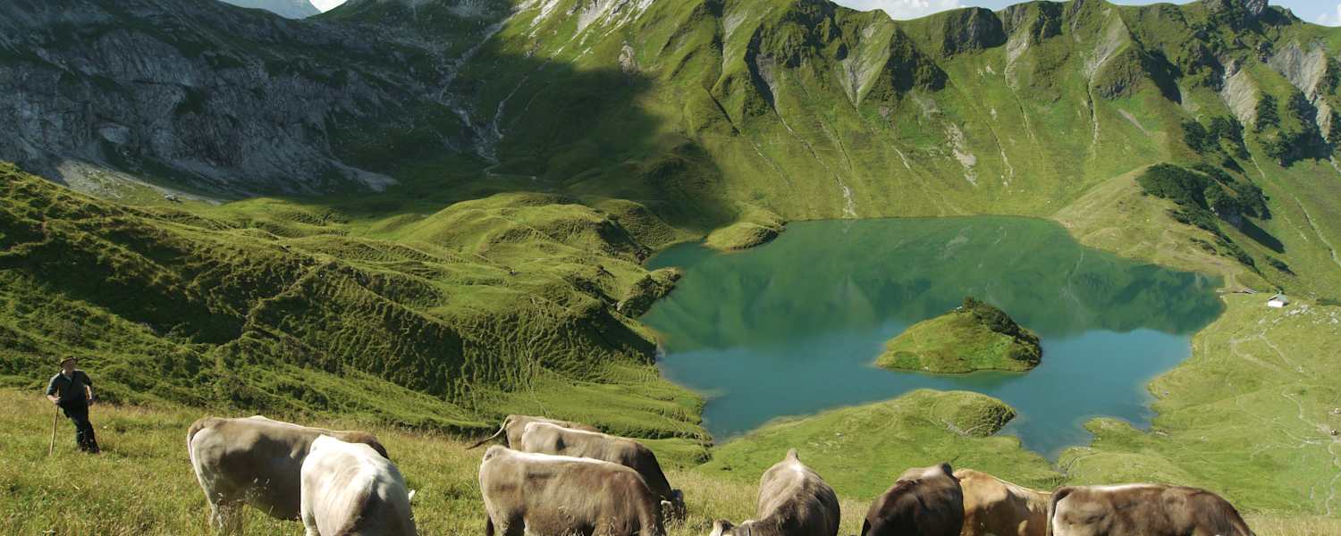 Der Schrecksee mit Alpwirtschaft