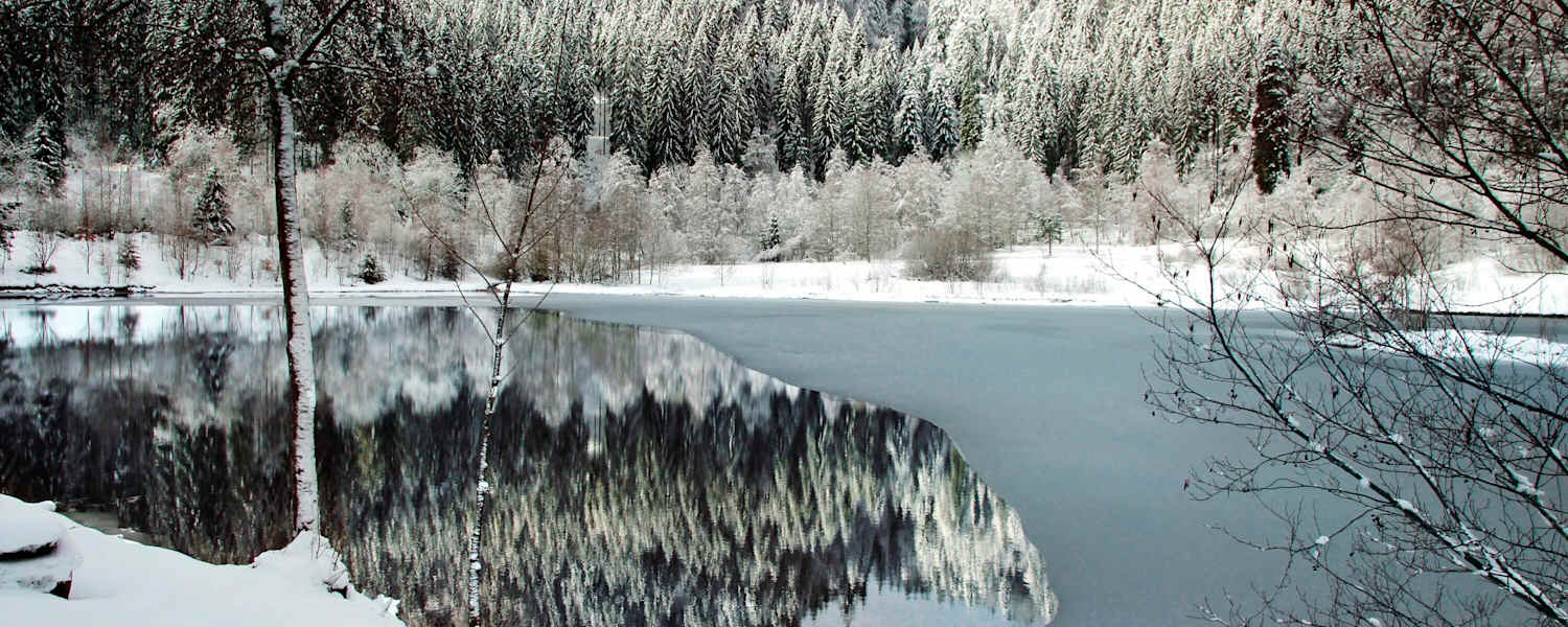 Sankenbachsee in Baiersbronn