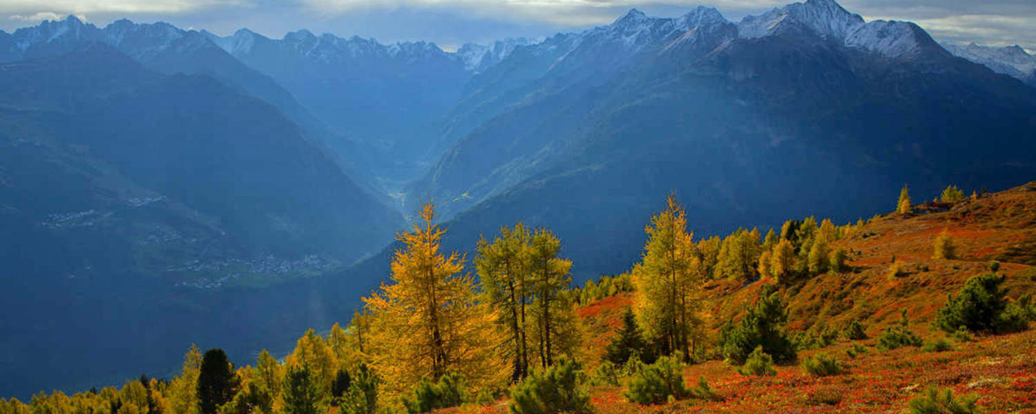 Venetalm im Tiroler Pitztal
