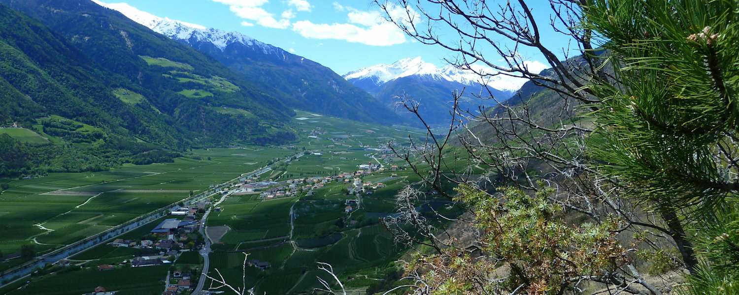 Blick in den Vinschgau