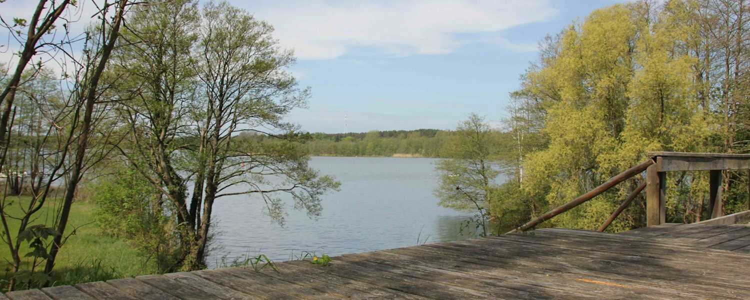 Blick von der Draisinestrecke auf den Großen Lychensee