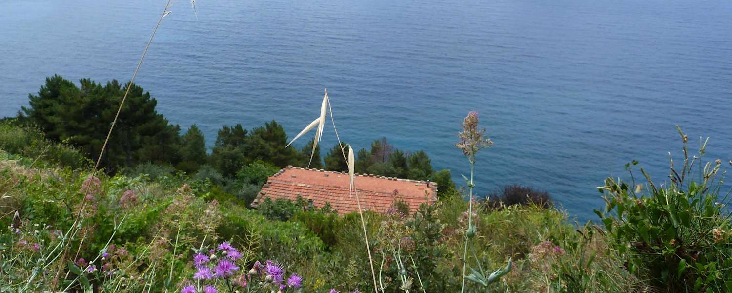 Im Frühling ist eine Wanderung in Cinque Terre besonders empfehlenswert
