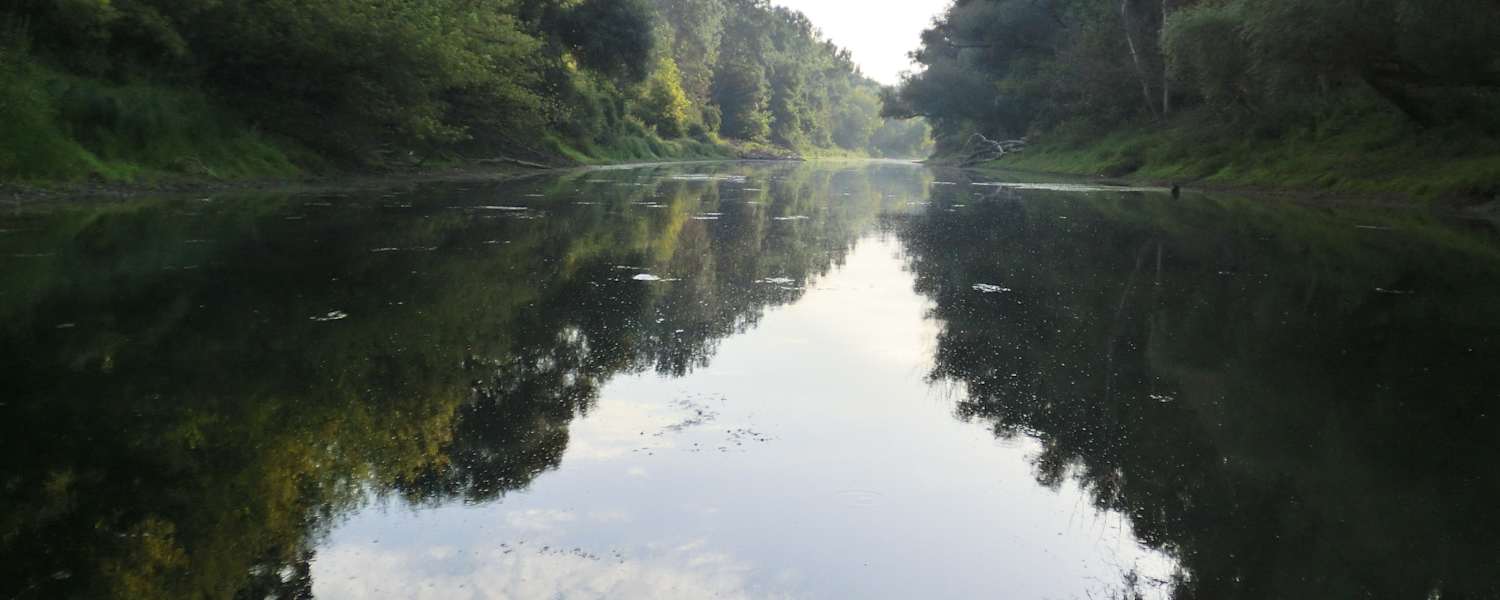 Nationalpark Donau-Auen östlich von Wien