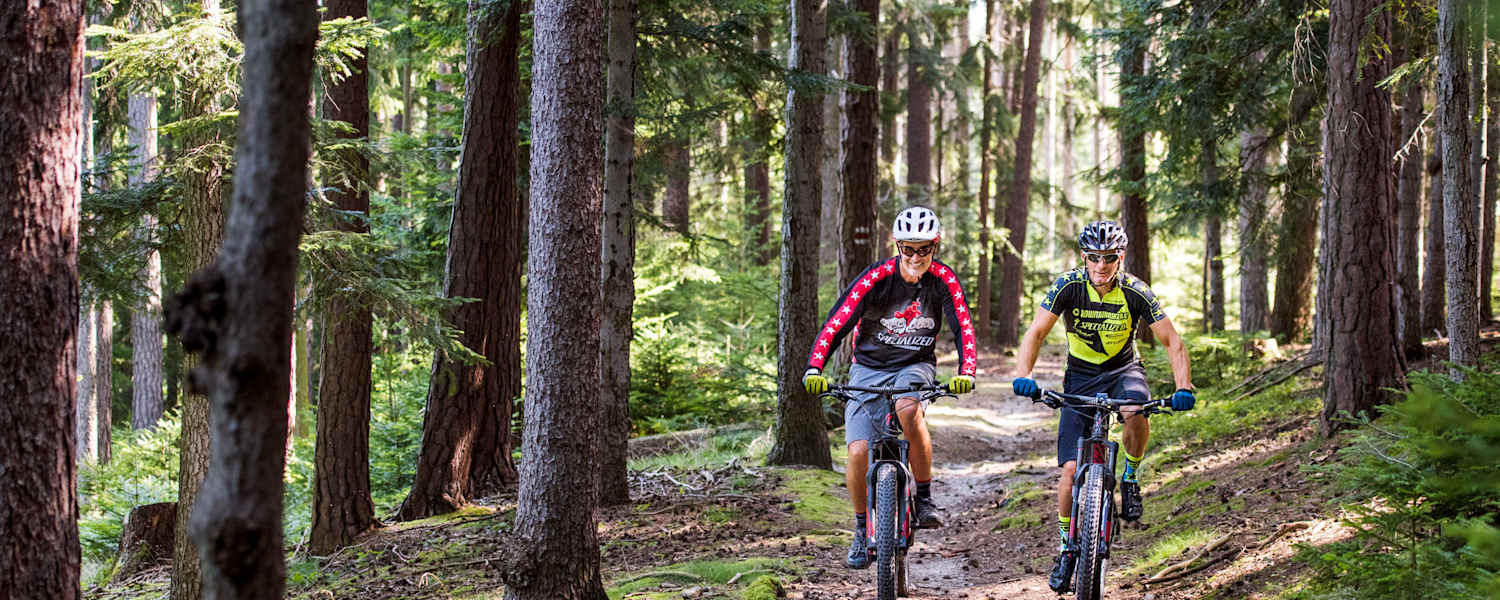 Mountainbike versus E-Bike