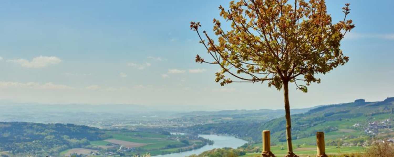 Ausblick von Klostergarten in Maria Taferl auf Donau und Nibelungengau