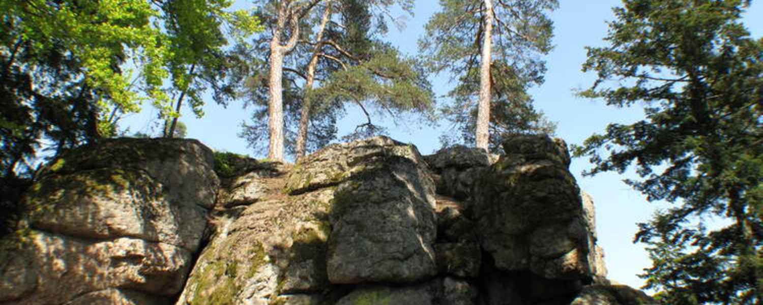 Die Natur am Kühstein im Böhmerwald erleben.