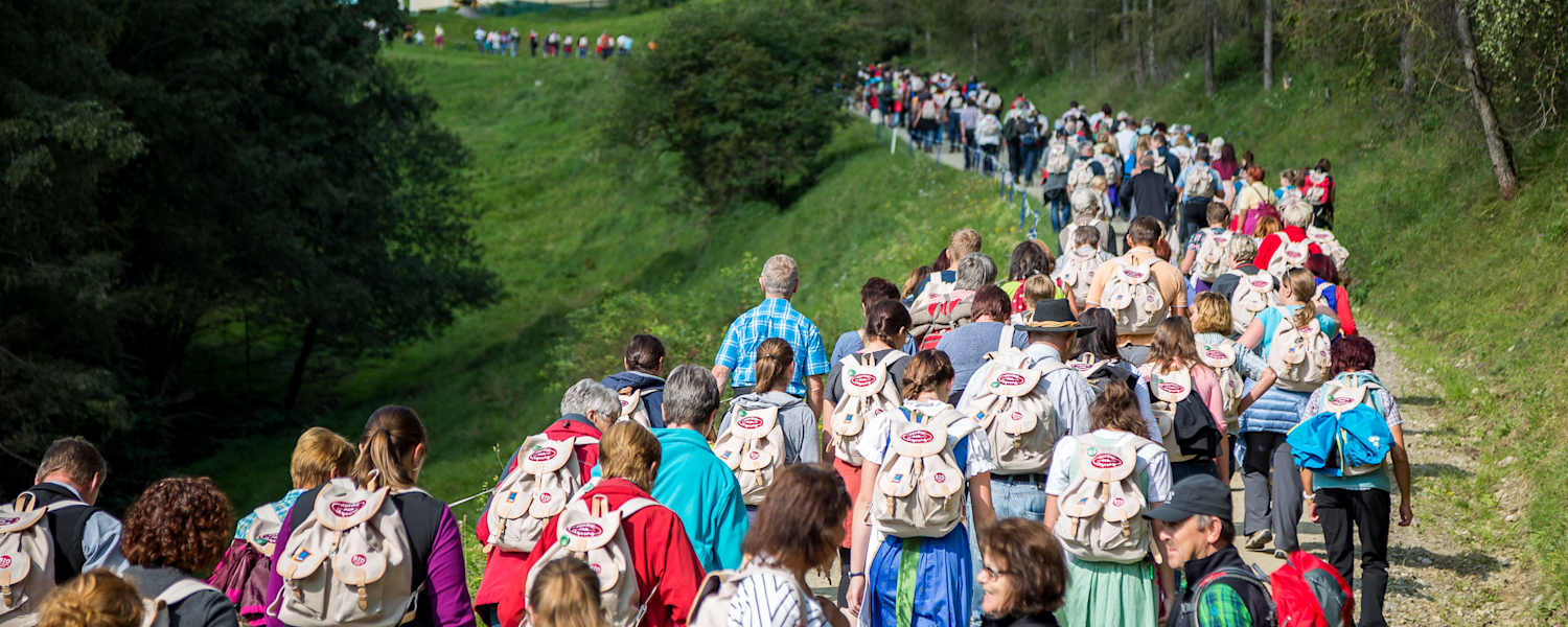 Zurück zum Ursprung: Gemeinsam Wandern im mystischen Mühlviertel