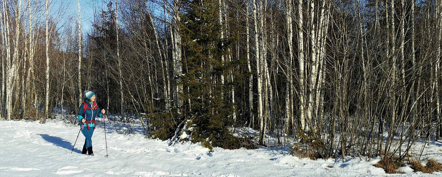 Winterwandern in der schneebedeckten Landschaft im Salzburger Pongau