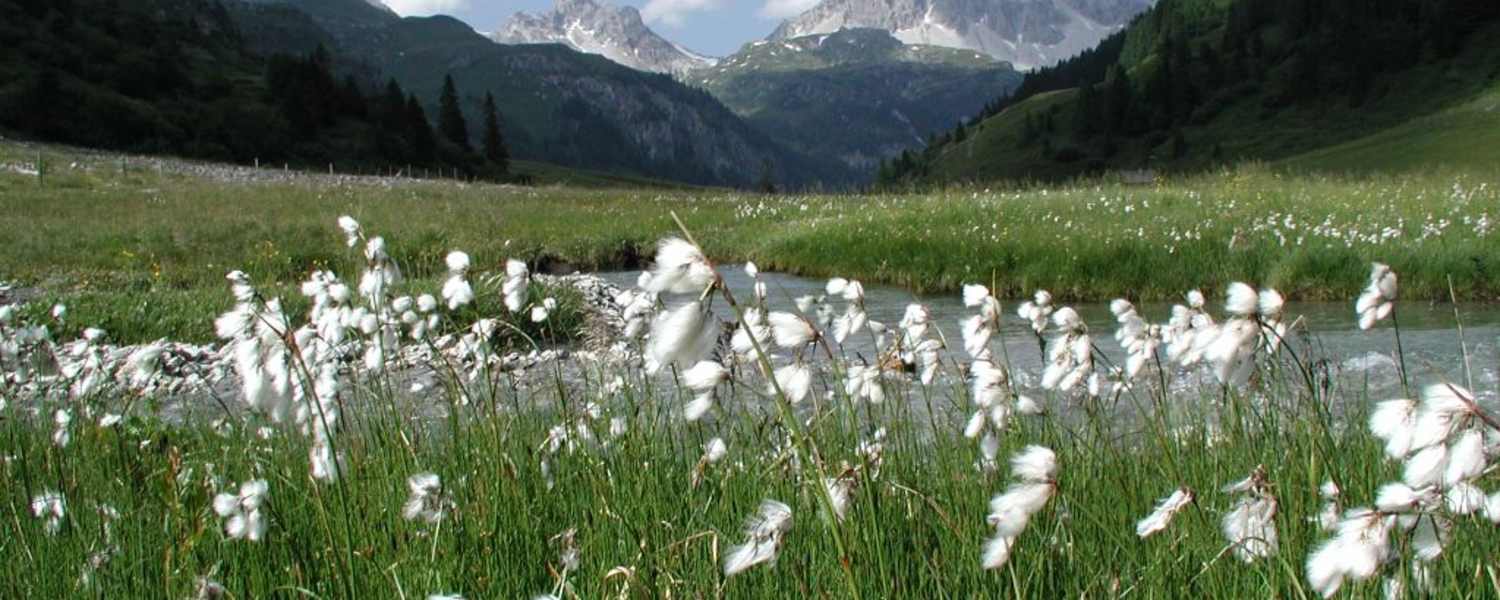 Wandern im Naturpark Riedingtal