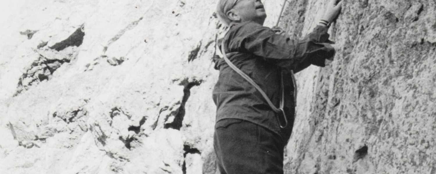 Viktor Frankl Berg und Sinn 