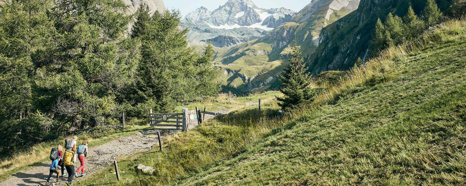 Vom Osttiroler Ködnitztal hat man einen besonders schönen Blick auf den 3.798 Meter hohen Großglockner.
