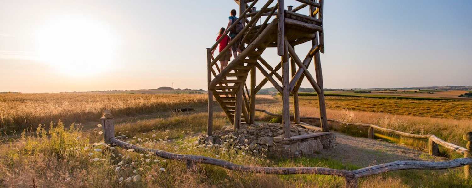 Der Aussichtsturm am Hirnberg