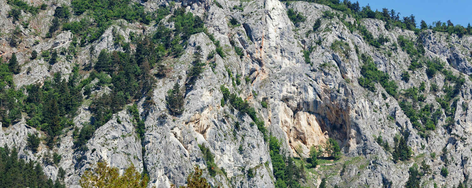 Gebirgsvereinssteig - Hohe Wand