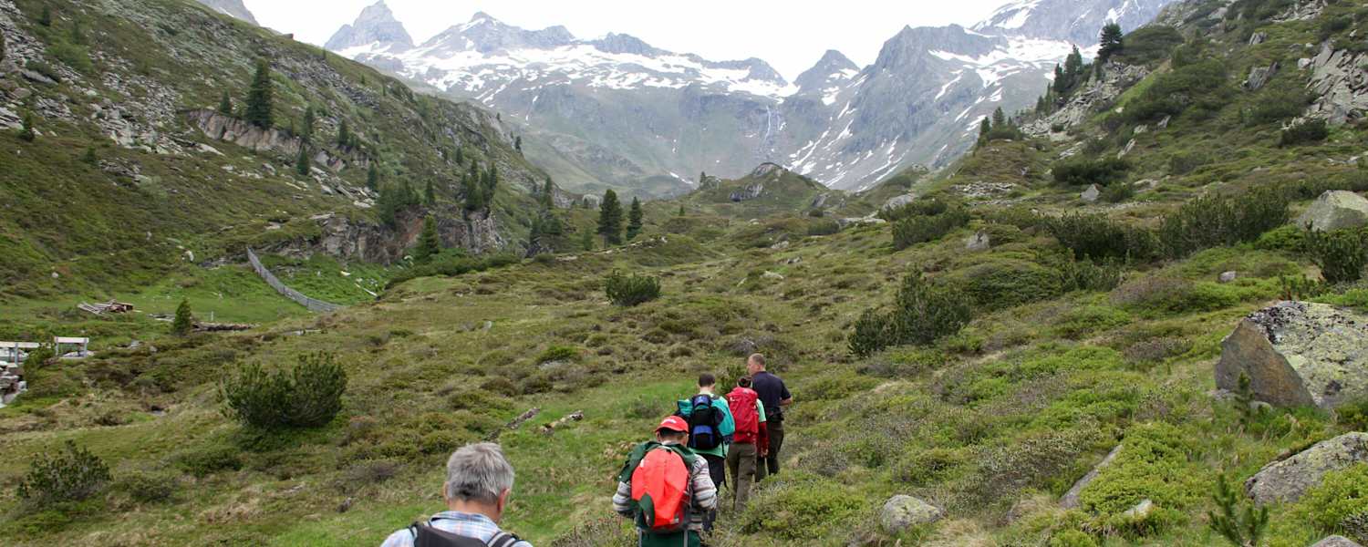 Bergwaldprojekts Schwarzensteinkees  