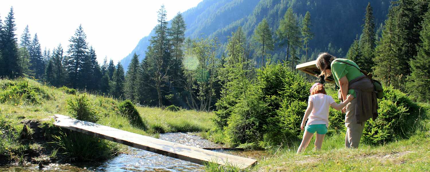 Der Weg entlang des Baches ist für Kinder besonders spannend
