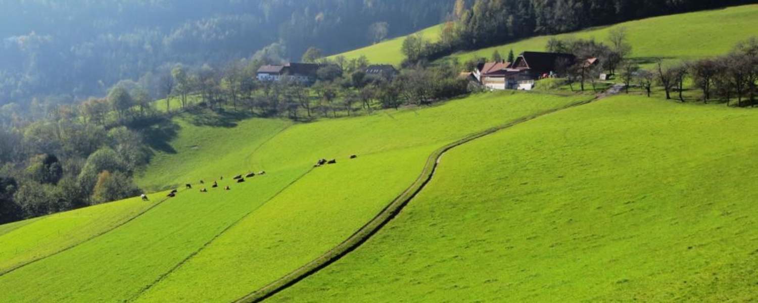 Grimmenstein-Wanderung