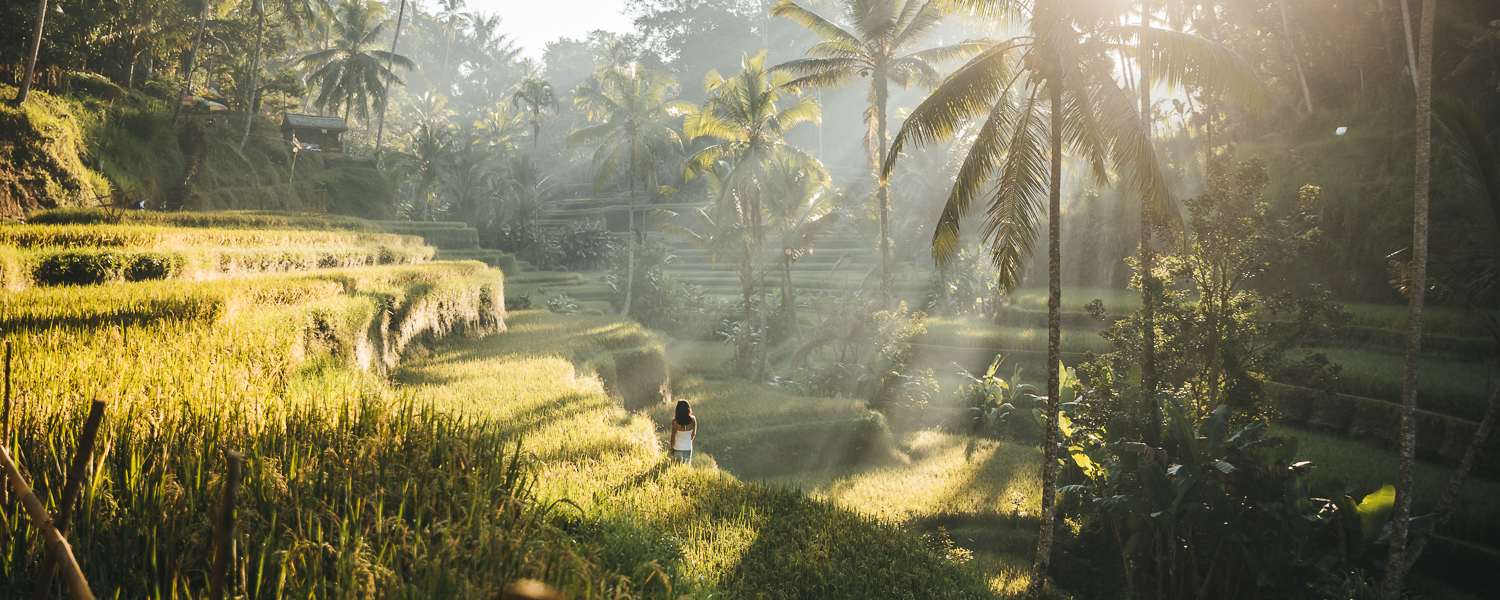Tropen-Idylle in Indonesien