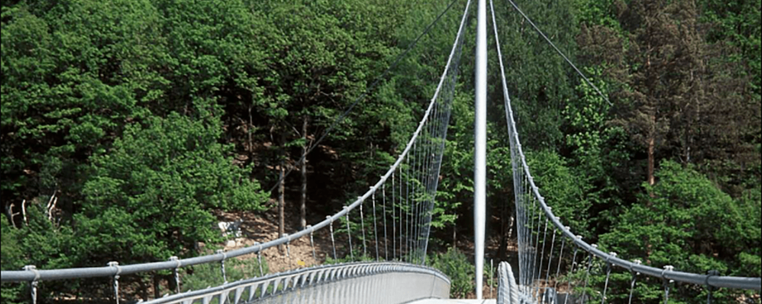 Leichte und landschaftlich wunderschöne Rundwanderung im Nationalpark Eifel in Nordrhein-Westfalen.